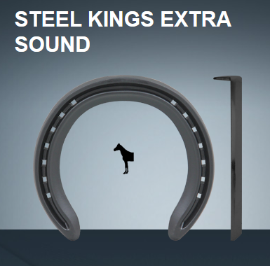 STEEL KINGS PLATE ES 4 VOOR 28 1/L