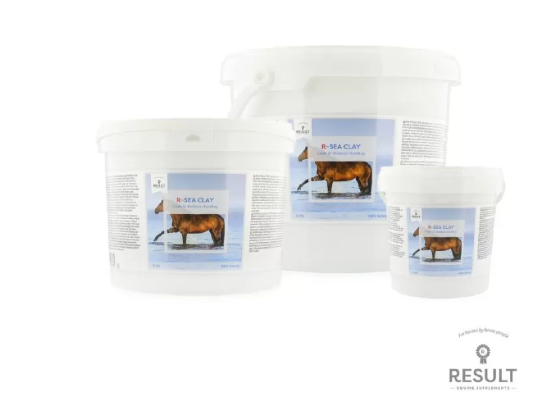 R-SEA CLAY 10 KG