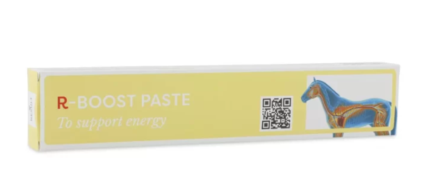 R-BOOST PASTE 60ML