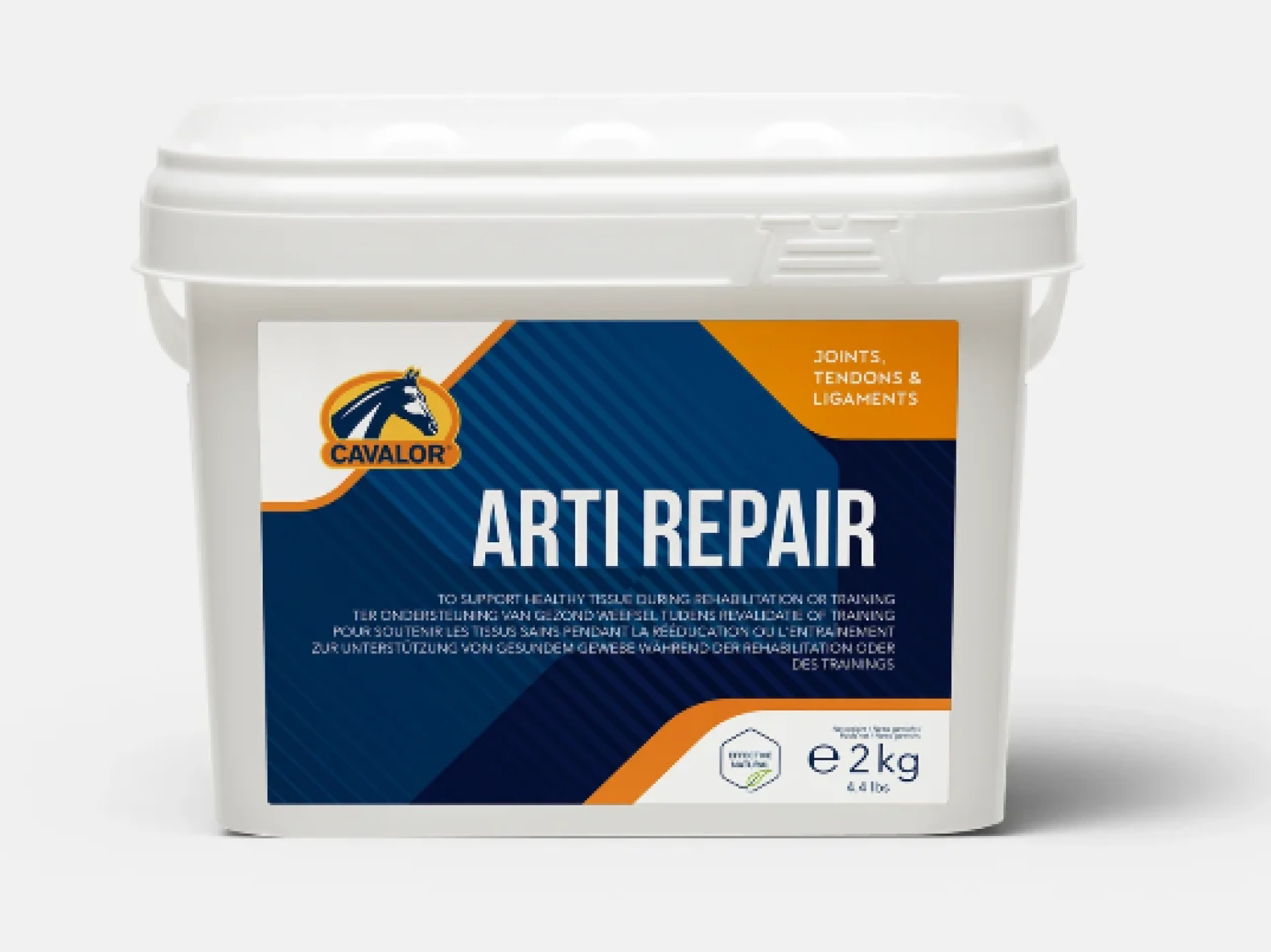 ARTI REPAIR 2KG