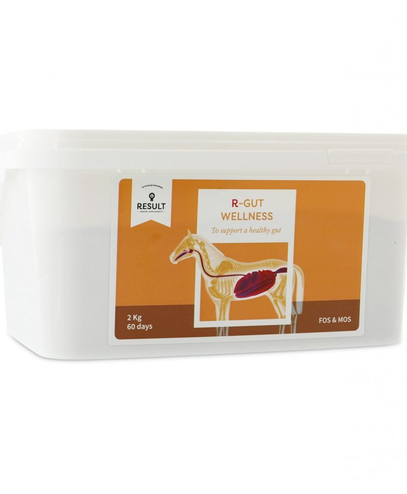 R-GUT WELLNESS 2 KG